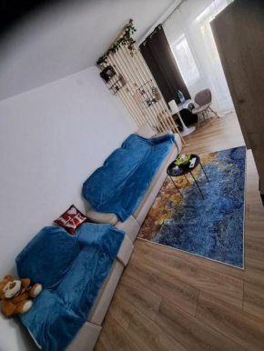 DMS studioVlaicu